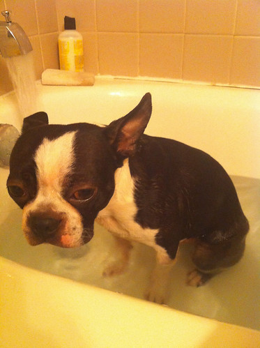 sad bath Egon