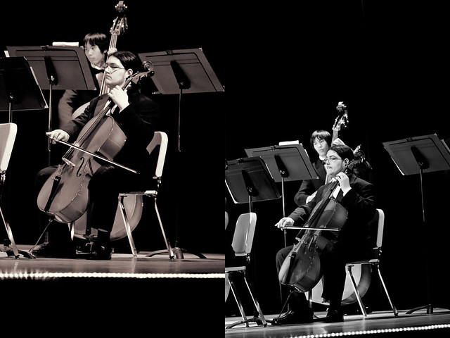 brotherface cello diptych