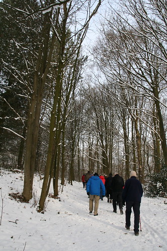Winter Walk Dec 26th 2010
