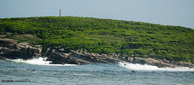 Surf en la Isla de Santa Marina