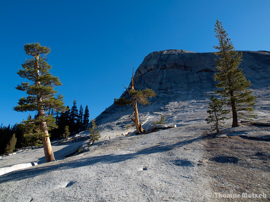 Lembert Dome, Yosemite, California, September 2010