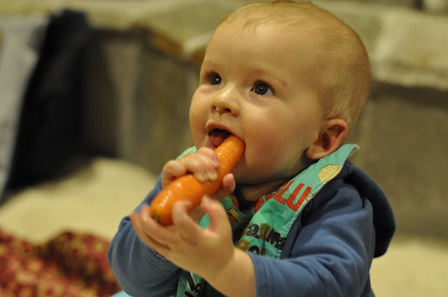 teething on a carrot