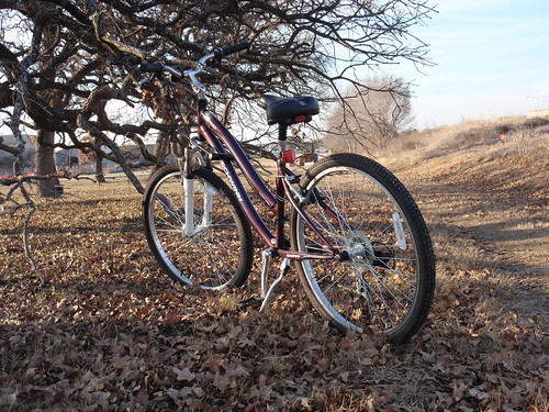 Bike with Tree and Sunshine