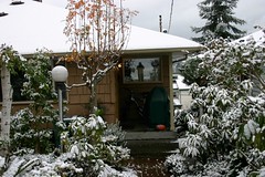 Seattle Winter Wonderland
