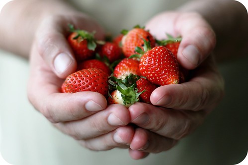 #355/365 - Fresh Strawberries