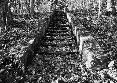 Stone Staircase with leaves (B&W)