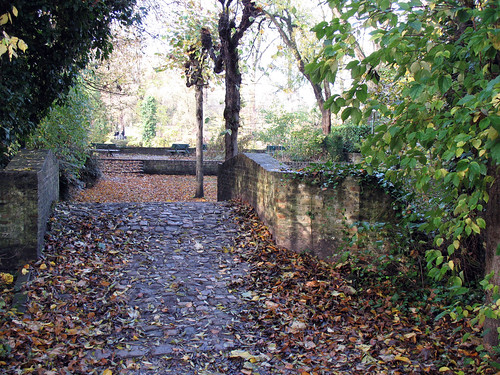 Autumnal Bridge