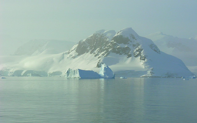 ANTARCTICA2010-68 Foyn Barbour 南極 Foyn灣 