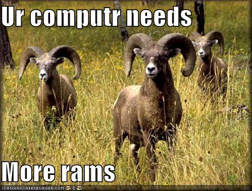 computer-needs-more-rams-field