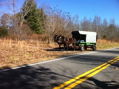  Horse-Drawn Wagon 