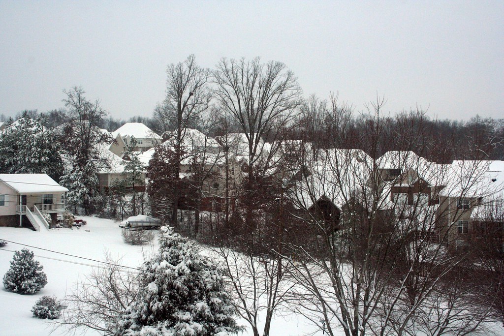 Snow: January 10, 2011