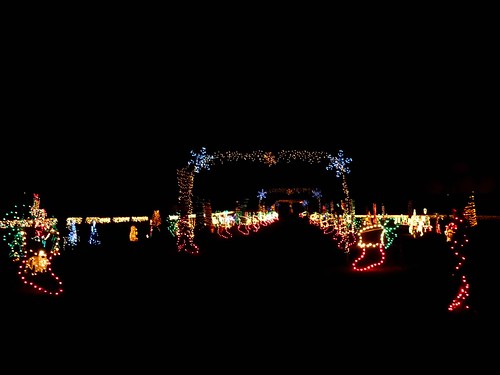 Local Christmas Lights