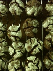 Chocolate Crinkle Cookies, 2010