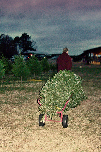 101129 Penland Tree Farm 15 - Matt pulling wagon with tree copy
