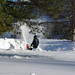 Dec 2010 SnowApocalypse-9.jpg
