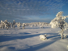 Real winter by Lejon2008, on Flickr