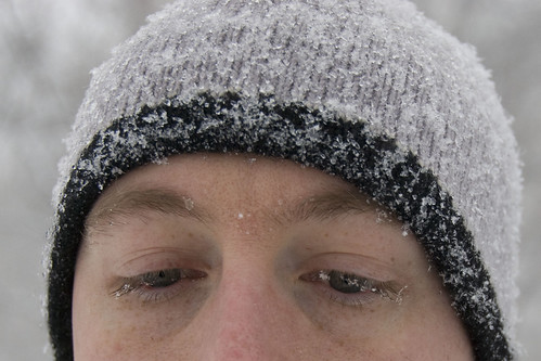 blizzard kyle eyelashes