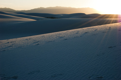 Footprints and Ripples at White Sands