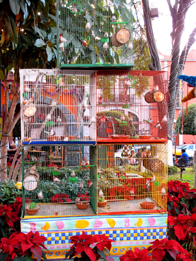 Faux birds in cages :)