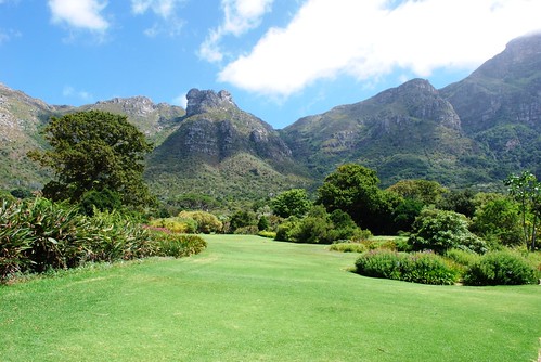 Kirstenbosch Botanical Gardens Cape Town