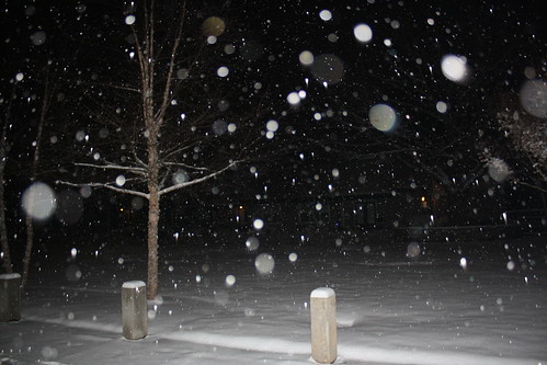 Atlanta Ga Snow Storm 2011. Wondering what this white stuff is. The