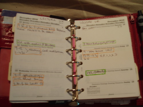 week on 2 pages diary