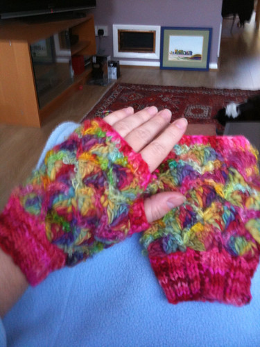 Beautiful fingerless gloves, Xmas 2010