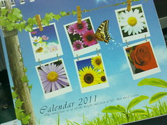 Kalendar 2011