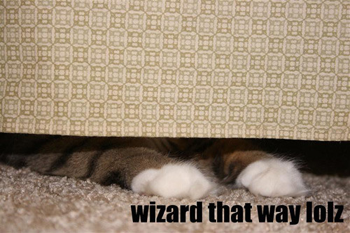 wizard-that-way-lolz