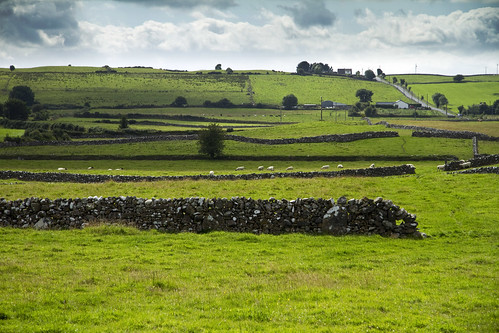 Roscommon County, Pastures & Stone Walls