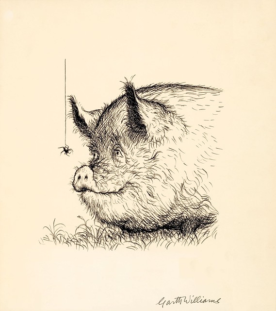 ink sketch of jovial pig admiring spider on web