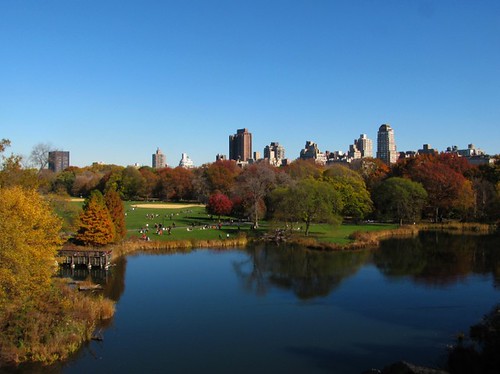 Turtle Pond and Great Lawn in Central Park