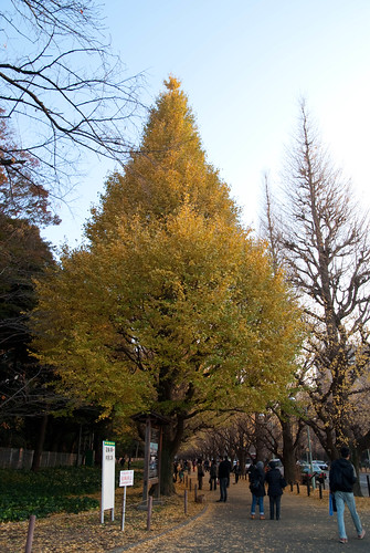 20102冬，東京