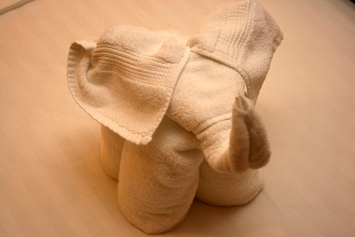 A different towel origami pet every night!