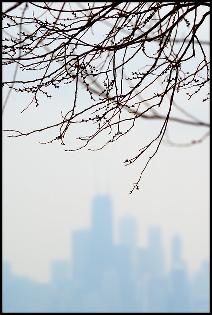 Chicago, January