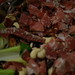 Winter fruit salad with lemon poppyseed dressing and proscuitto
