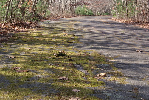 Old Route 128, Blue Hills #3