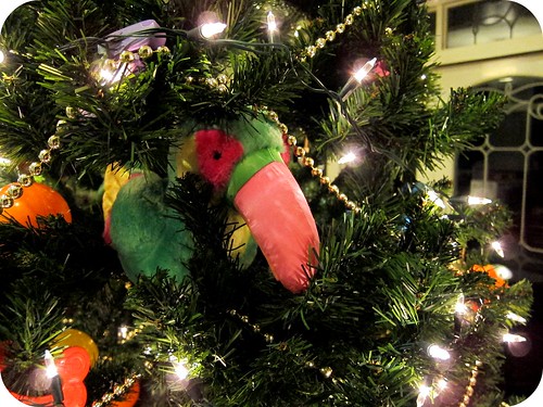And a parrot in a X'mas tree