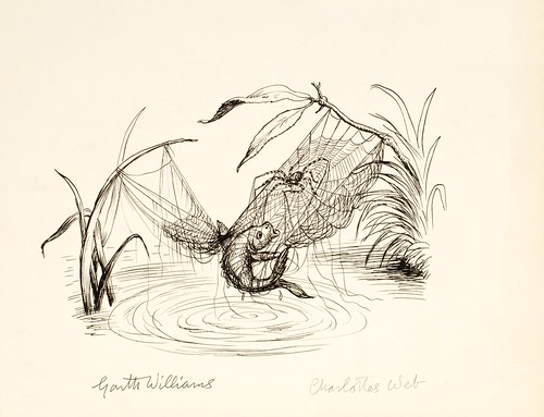 fish tangled in web with spider just above water (rudimentary b&w book illustration design sketch)
