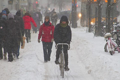 Snowstorm Bike Lane