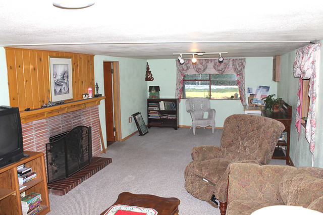 Basement with fireplace