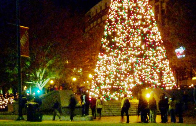 P1050521-2010-11-27-VIDEOpreview-gloAtl-Hinterland-Centenial-Park-Christmas-Tree