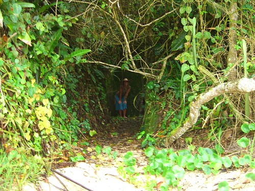 Jungle Trail in Trindade, Brazil