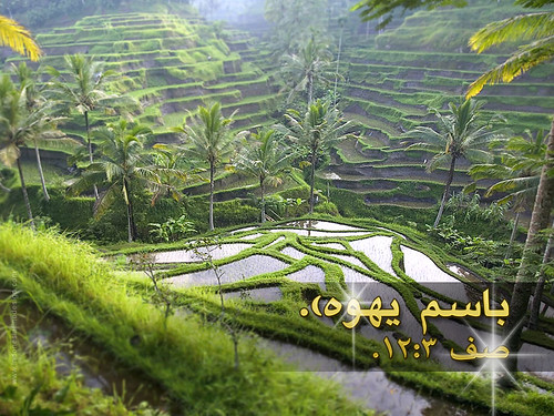 arabic wallpaper. 2011yeartext-bali-ubud-rice-terrace-arabic. By Downloader | Published: April 28, 2011. Android Wallpaper. This entry was posted in Android.