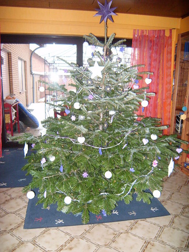 Weihnachtsbaum 2010_3