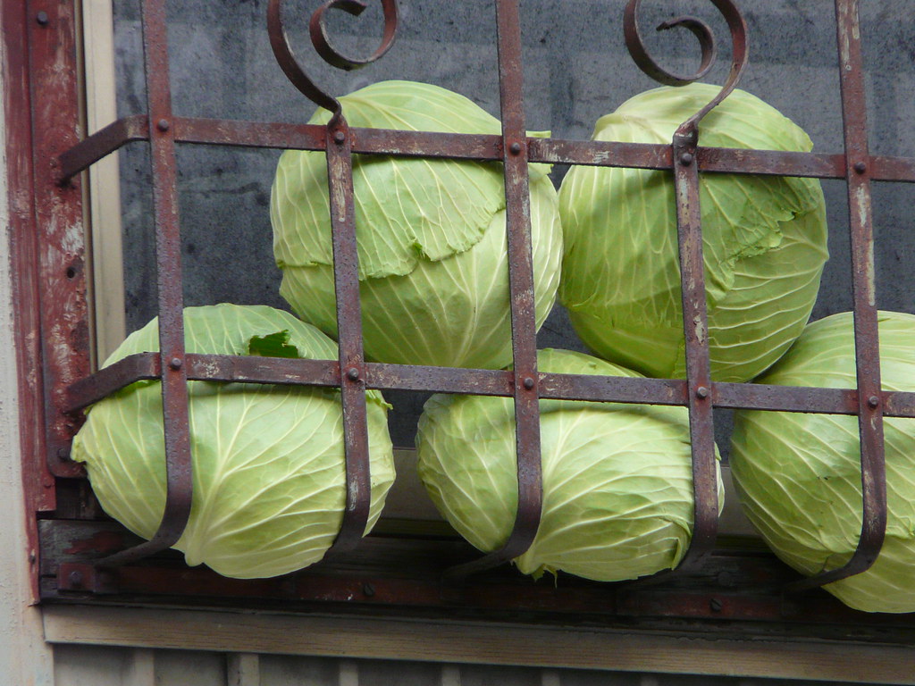 Storing Cabbages, Drying Shoes