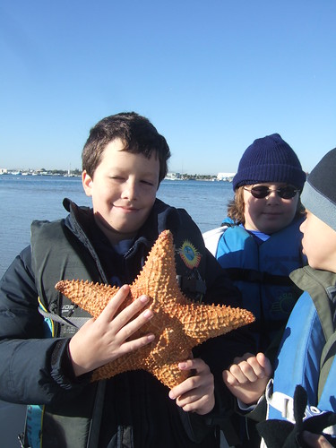 Luca with a cushion starfish