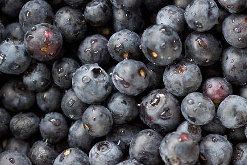 Blueberry Pile