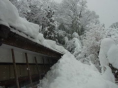 雪に埋まる家