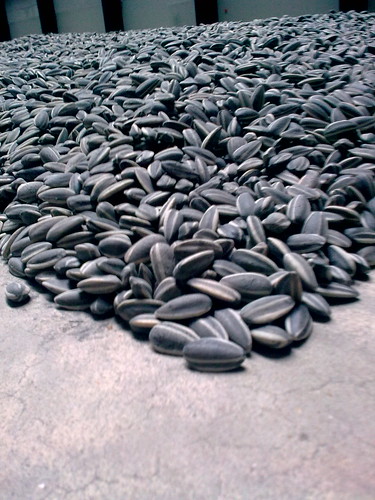 sunflower seeds by ai weiwei